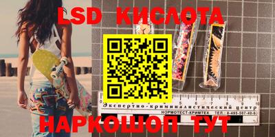 ГАЛЛЮЦИНОГЕННЫЕ ГРИБЫ Краснознаменск