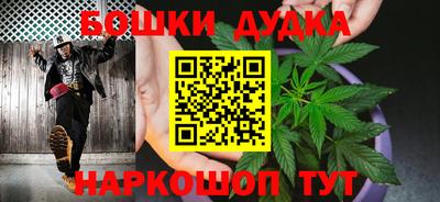 гидра Краснокаменск