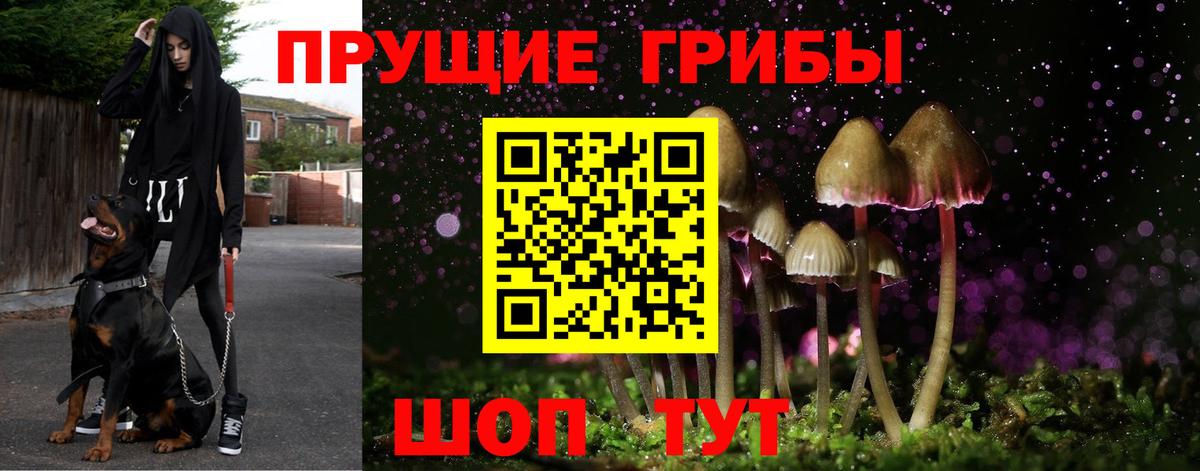 Гусиноозёрск  купить наркотики сайты  Вход с VPN  Псилоцибиновые грибы Psilocybe 